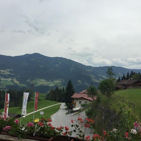 Hotel Und Alpen Apartments Mit Sauna - Buerglhoeh Bischofshofen Dış mekan fotoğraf