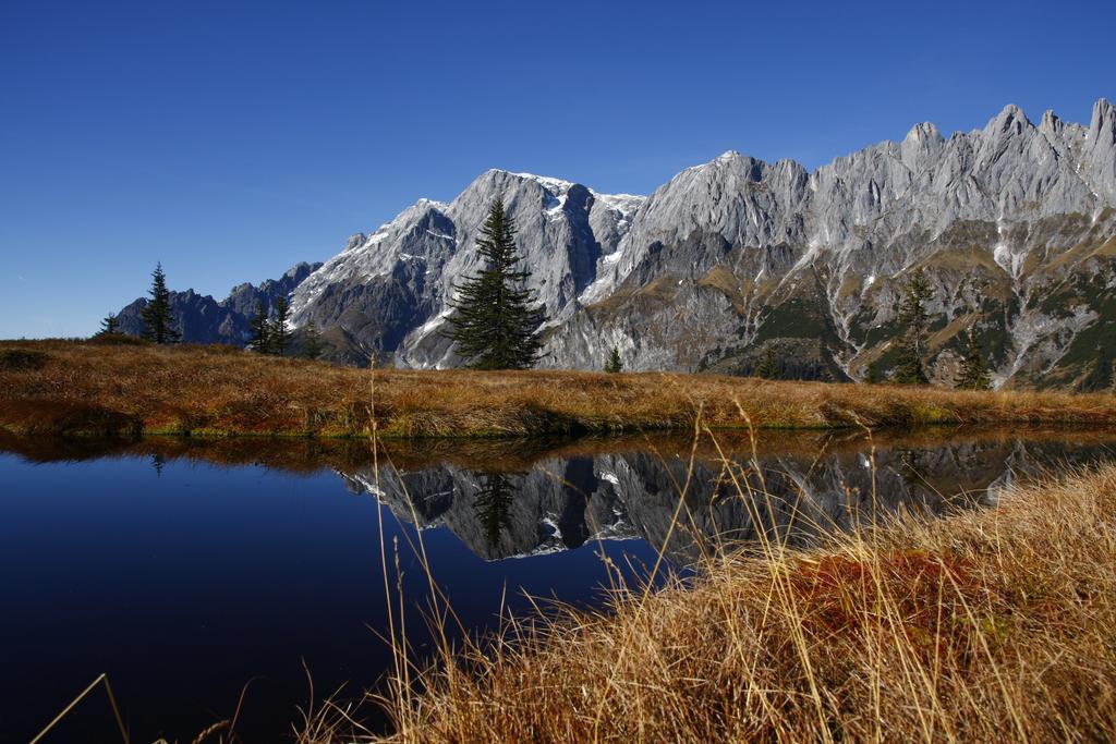 Hotel Und Alpen Apartments Mit Sauna - Buerglhoeh Bischofshofen Dış mekan fotoğraf